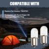 Podoy 780287001 Flashlight Bulbs Replacement S6 Shape P13.5S Base, 2 Pack view 4