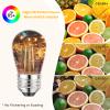 Svater 15 Pack 2W S14 Replacement LED Bulbs for Outdoor String Light, Dimmable Plastic Vintage Edison Bulb Lights, E26 Base,IP65 Waterproof, Warm White 2700K view 3