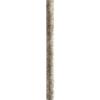 Progress Lighting P2606-144 Fan Down Rod, 36" view 1