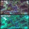 GoScope (60M) Red Filter - Compatible with GOPRO HERO4 / HERO3+ / HERO3 Dive HOUSING (60M Case Only) Laser Cut Optical Red Filter (See Pictures to Make Sure This FITS Your Camera CASE) view 4
