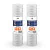 Aquaboon 1 Micron 20 x 4.5 Whole House String Wound Water Filter 2-Pack view 1