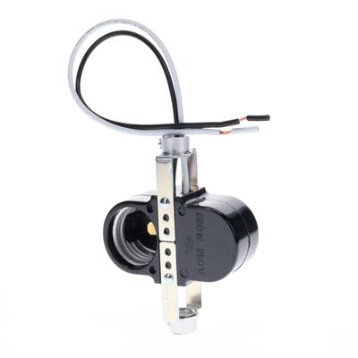 B&P Lamp Double Edison Base Socket