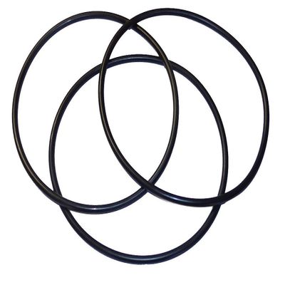 CFS Pack of 3, Premium O-Ring Compatible with 3M 63597174C Models Replacements for Standard Reverse Osmosis Water Filter Housings Quality Material Black