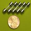 5 Qty. GMA 315mA Fast-Blow Fuse 250v GMA315mA, GMA 315 mA, Model: GMA_315mA, Outdoor/Garden Store, Repair & Hardware view 1
