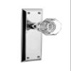 Nostalgic Warehouse New York & Waldorf Crystal Door Knob with Plate view 1