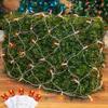 Novelty Lights 4x6 Net Lights, 100 Amber LEDs, 5mm Wide Angle Bulbs view 1
