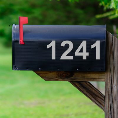 Mailbox Decals Street # Address Numbers Custom Feature Mailbox Stickers Vinyl Letters VWAQ-CMB2 (Silver)