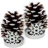 Lighted Pine Cone Christmas Decor Set of 2, Real Pinecones in White Metal Snowflake Holders, Snow Brushed Flameless LED Candle Decorations for Table, Mantel, Shelf, Holiday Centerpiece, 5.5" H view 1