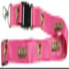 R and R Imports Bowling Green Falcons Pink Lanyard Officially Licensed Collegiate Product view 1
