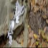 UST Stainless Steel Tool A Long Multi-Tool, Trout view 3