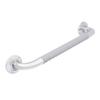 PULSE ShowerSpas 4005-SSP ErgoSafetyBar, ADA Compliant Stainless Steel Grab Bar, Polished Stainless view 1