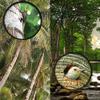 16x52 Monocular Dual Focus Optics Zoom Telescope for Birds Watching/Wildlife/Hunting/Camping/Hiking/Tourism/Armoring/Living Concert 66m/8000m view 3