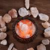 Plemo Natural Himalayan Salt Lamp with Genuine Wood Base in Classic Round Metal Basket with Dimmable Cord and Luxury Gift Box view 4