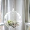 Chain Extension for Hanging Baskets, Planters, Powder Black view 4