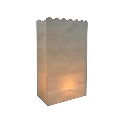 Quasimoon PaperLanternStore.com White Paper Luminaries/Luminary Lantern Bags Path Lighting (10 Pack)