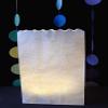 Quasimoon PaperLanternStore.com White Paper Luminaries/Luminary Lantern Bags Path Lighting (10 Pack) view 3