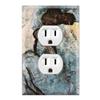 Graphics Wallplates - Blue Nude by Pablo Picasso - Duplex Outlet Wall Plate Cover view 1