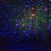 LedMAll Red and Green Laser, and Blue LED Remote Control Christmas Lights, Garden and Landscape Lights view 4