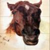 Horse by Adolph Friedrich Erdmann von Menzel Tile Mural Kitchen Bathroom Wall Backsplash Behind Stove Range Sink Splashback 2x3 8" Ceramic, Matte view 1