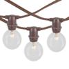 Novelty Lights 25' Clear Incandescent G40 Globe Outdoor String Lights view 1