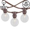 Novelty Lights 25' Clear Incandescent G40 Globe Outdoor String Lights view 2