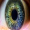 Nikon D5600 10x High Definition 2 Element Close-Up (Macro) Lens (72mm) (77mm w/Stepping Ring 72-77mm) view 2