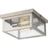 Progress Lighting Union Square Collection 2-Light Clear Flat Glass Farmhouse Outdoor Close-to-Ceiling Light Stainless Steel view 1