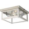 Progress Lighting Union Square Collection 2-Light Clear Flat Glass Farmhouse Outdoor Close-to-Ceiling Light Stainless Steel view 2