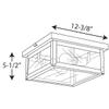 Progress Lighting Union Square Collection 2-Light Clear Flat Glass Farmhouse Outdoor Close-to-Ceiling Light Stainless Steel view 3