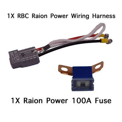 Raion Power Replacement RBC11 UPS Wire Harness and 100 Amp Fuse for APC SmartUPS SU48BP - Must Buy Two Kits to Complete Set