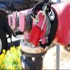ABUS 80209 83AL/40 (300) KD Red view 3