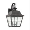 Generation Lighting 8463EN-46 Transitional Two Light Outdoor Wall Lantern from Lighting-Chatham Collection Dark Finish, Oxidized Bronze view 1