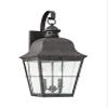 Generation Lighting 8463EN-46 Transitional Two Light Outdoor Wall Lantern from Lighting-Chatham Collection Dark Finish, Oxidized Bronze view 2