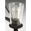 Progress Lighting P860003-001 Accessories, Clear view 4