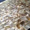 squarefeetdepot Mother of Pearl Shell Mosaic Tile 1x1 Wall Backsplash Walls Spas Pools view 4