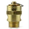 New 1/4" ASME Brass Safety relief Valve 125 PSI American made Compressed air pop off valve view 3