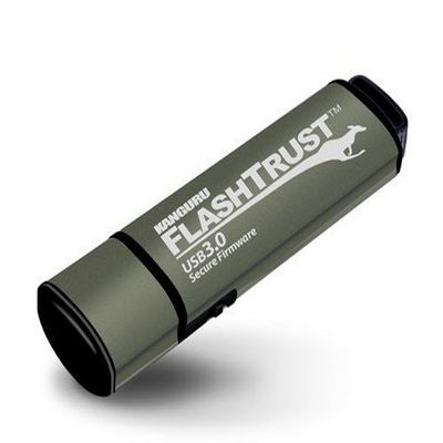 Kanguru Flash Trust  64GB Secure Firmware Flash Drive  Write Protect Switch  SuperSpeed USB 3.0