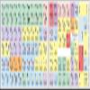 Avid Pro Tools  Pastel Color Shortcut Sticker Keyboard view 1