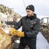 RefrigiWear Warm Fleece Lined Fiberfill Insulated Cowhide Leather Work Gloves (Gold, X-Large) view 2