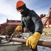 RefrigiWear Warm Fleece Lined Fiberfill Insulated Cowhide Leather Work Gloves (Gold, X-Large) view 3