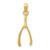 Charms Collection 14k Wishbone Pendant K2766 view 1