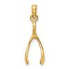 Charms Collection 14k Wishbone Pendant K2766 view 3