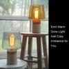 KarlunKoy Incandescent Light Bulbs,60W ST64 Edison Bulbs,E26 Warm (Amber) view 4