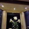 DEKOR LED Recessed Down Lights for Decks Porches Soffits Ceilings Windows Indoor Outdoor Lighting (Oil Rubbed Bronze, Indoor Kit) view 4