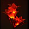 Winterworm Orange Solar 4 LED Lily Flower Light Outdoor Garden Lawn Color Changing Lamp view 4