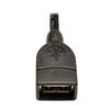 TRIPP LITE USB 2.0 to USB Motherboard 4-Pin IDC Header Cable 6-Inch (U024-06N-IDC) view 3