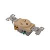 Diversitech ED1876-I 20A-250V Receptacle, Ivory Single view 1
