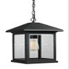 Z-Lite 531CHB-BK 1 Outdoor Chain Light 1 view 3