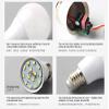 KONPWAY 12V Low Voltage LED Light Bulbs - Daylight 7W(Only for 12-36V), Pack of 6 view 3