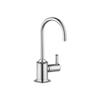 hansgrohe Talis C Brushed Nickel Beverage Kitchen Faucet, Kitchen Water Filter Faucet, Faucet for Kitchen Sink, Polished Nickel 04302830 view 1
